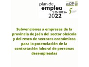 PLAN EMPLEO Y EMPRESA 2022 DE LA DIPUTACIÓN PROVINCIAL DE JAÉN